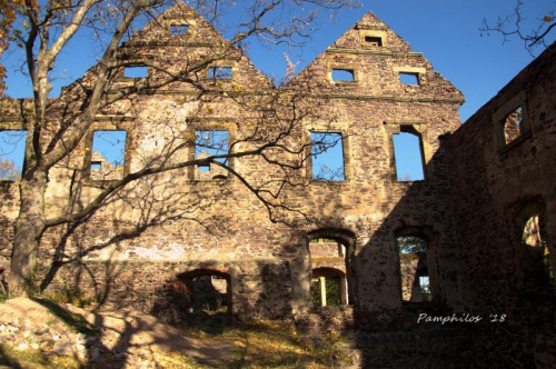 Zamek Świny
