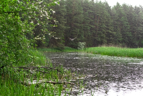 Meandry - Wronia Woda