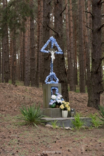 Jarzębie