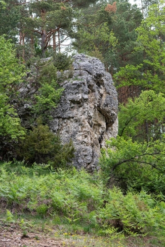 Góra Św. Genowefy