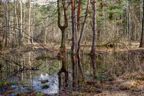 DSC_6089