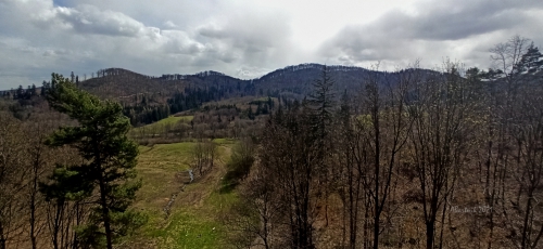 IMG 20210425 120730 (1)