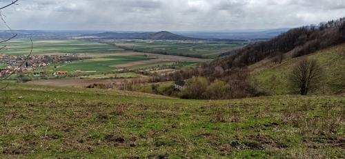 IMG 20210425 124950
